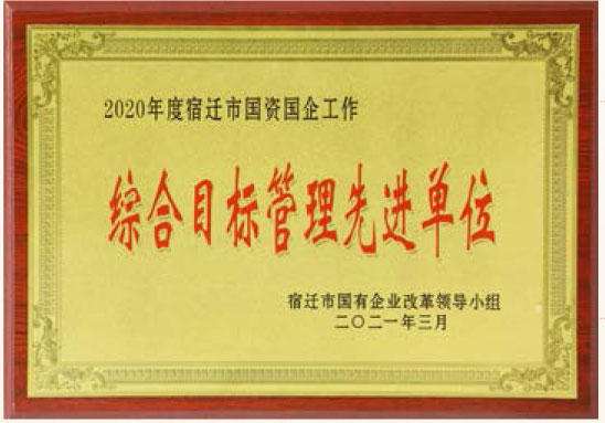 2020年度宿遷市國資國企工作綜合目標(biāo)管理先進(jìn)單位